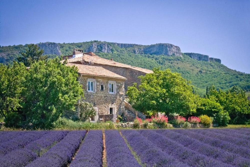 Chez Bacchus - Hôtel image 1